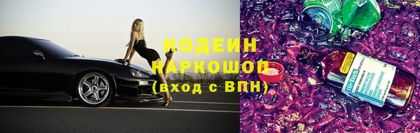хмурый Куйбышев