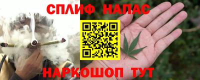 мяу мяу мука Аргун