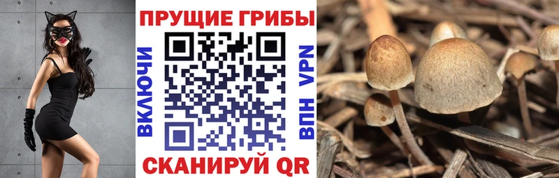 Псилоцибиновые грибы ЛСД  блэк спрут   Донской 
