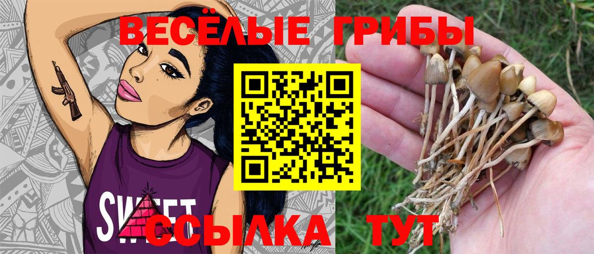 Псилоцибиновые грибы Magic Shrooms  Донской 