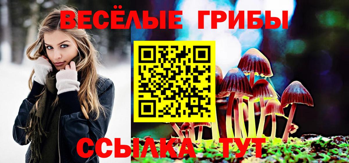 Галлюциногенные грибы MAGIC MUSHROOMS Донской