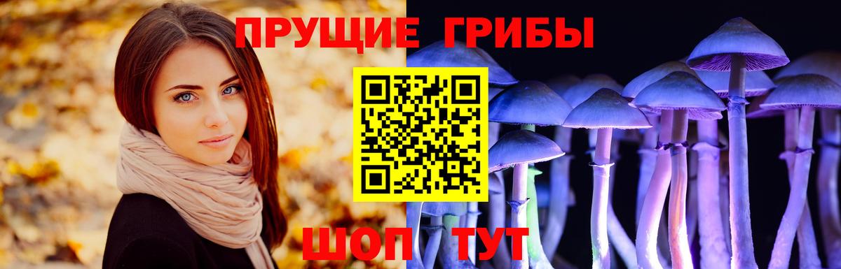 Донской  Галлюциногенные грибы мухоморы  Псилоцибиновые грибы MAGIC MUSHROOMS  Вход с VPN 