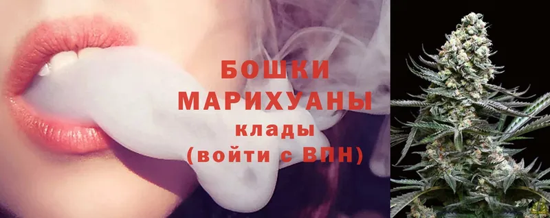 купить наркотик  Донской  MEGA как зайти  Бошки Шишки White Widow 